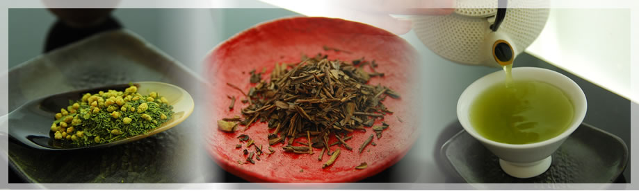 掛川は深蒸し茶の発祥の地　ほうじ茶・芽茶・茎茶・玉露・玄米茶